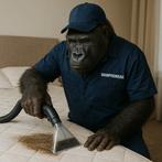 Dieptereiniging van stoffen voor gebruik met shampoo!, Tickets en Kaartjes, Concerten | Nederlandstalig