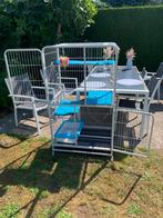 Kattenhotel - katten bench, Ophalen, Zo goed als nieuw