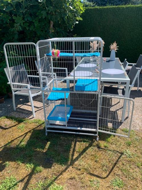 Kattenhotel - katten bench, Dieren en Toebehoren, Katten-accessoires, Zo goed als nieuw, Ophalen