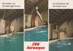 DOLFIJNEN  IN  ZOO  ANTWERPEN, Verzamelen, Postkaarten | Dieren, Verzenden, Ongelopen, Waterdier