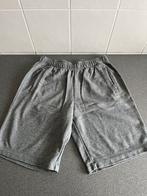 Grijze joggingshort Puma - maat L, Vêtements | Hommes, Vêtements de sport, Puma, Gris, Enlèvement ou Envoi, Général