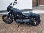 Harley Davidson Sportster XL 1200 Iron, Motoren, Motoren | Harley-Davidson, 2 cilinders, Motorrijbewijs A, 1202 cc, Particulier