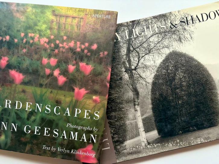 Gardenscapes / Hazy Lights & Shadows. LYNN GEESAMAN, Boeken, Kunst en Cultuur | Fotografie en Design, Zo goed als nieuw, Fotografen