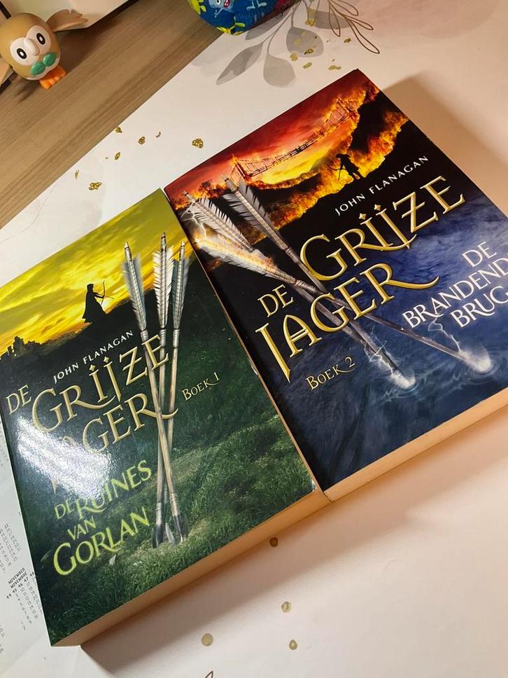 Set 2 boeken De grijze jager deel 1&2, Boeken, Kinderboeken | Jeugd | 10 tot 12 jaar, Ophalen