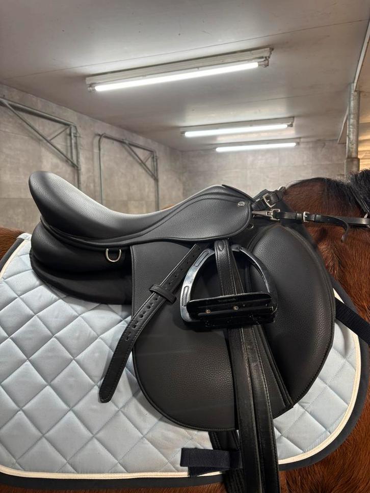 Te Koop: Norton Pro Mixte Veelzijdigheidszadel 17.5, Animaux & Accessoires, Chevaux & Poneys | Selles, Comme neuf, Obstacle, Enlèvement ou Envoi