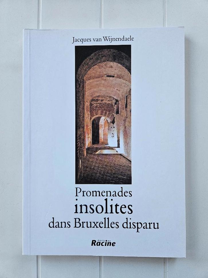 Ongebruikelijke wandelingen in het verloren Brussel, Boeken, Geschiedenis | Nationaal, Zo goed als nieuw, Ophalen of Verzenden