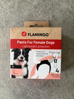 Loopsheidbroekje en pats, Dieren en Toebehoren, Honden-accessoires, Ophalen, Nieuw