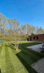 Jardinier, Jardin & Terrasse, Enlèvement ou Envoi