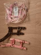 Halsters voor pony veulens, Dieren en Toebehoren, Ophalen