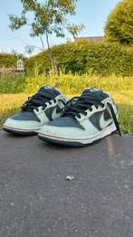 Nike Dunk Low Retro Premium maat 42.5, Ophalen