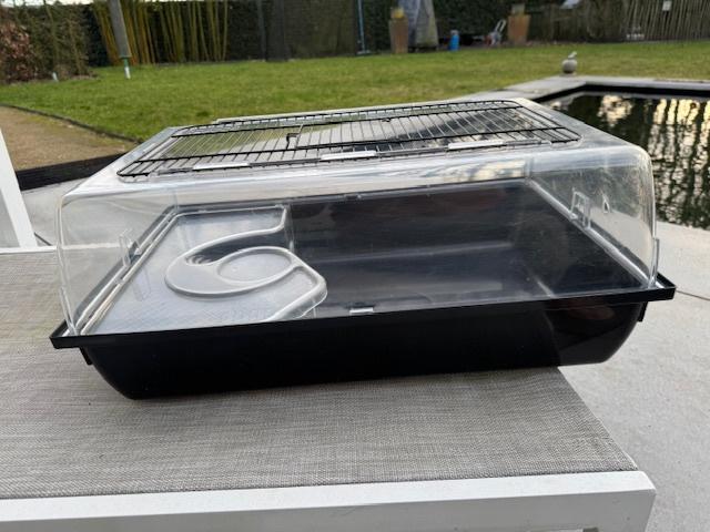 Hamsterkooi (b)37x(l)57x(h)22cm + veel toebehoren én loopbal, Dieren en Toebehoren, Knaagdieren en Konijnen | Hokken en Kooien
