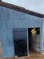 Weide te huur / weidemaatje gezocht, Dieren en Toebehoren