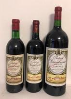 3 X Château Rauzan Gassies 1974- 2005 &Magnum 2009. 2 Gd Cru, Pleine, France, Enlèvement ou Envoi, Vin rouge