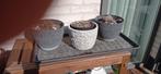 Bloempot plus 4 grijze en een witte pot, Tuin en Terras, Ophalen, Zo goed als nieuw