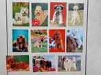 lot  van 24 postkaarten met honden, Collections, Cartes postales | Animaux, Enlèvement ou Envoi