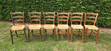 6 houten stoelen in zeer goede staat beschikbaar voor biedingen