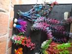 Lot plastiek aquarium planten 17 stuks!!!, Ophalen, Zo goed als nieuw