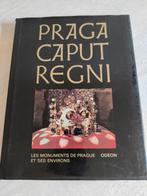Praga Caput Regni - Monuments de Prague, Comme neuf, Enlèvement ou Envoi
