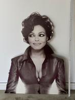Billboard Janet Jackson, Ophalen, Gebruikt