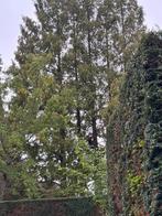 GRATIS OFFERTE, Tuin en Terras, Ophalen, Nieuw