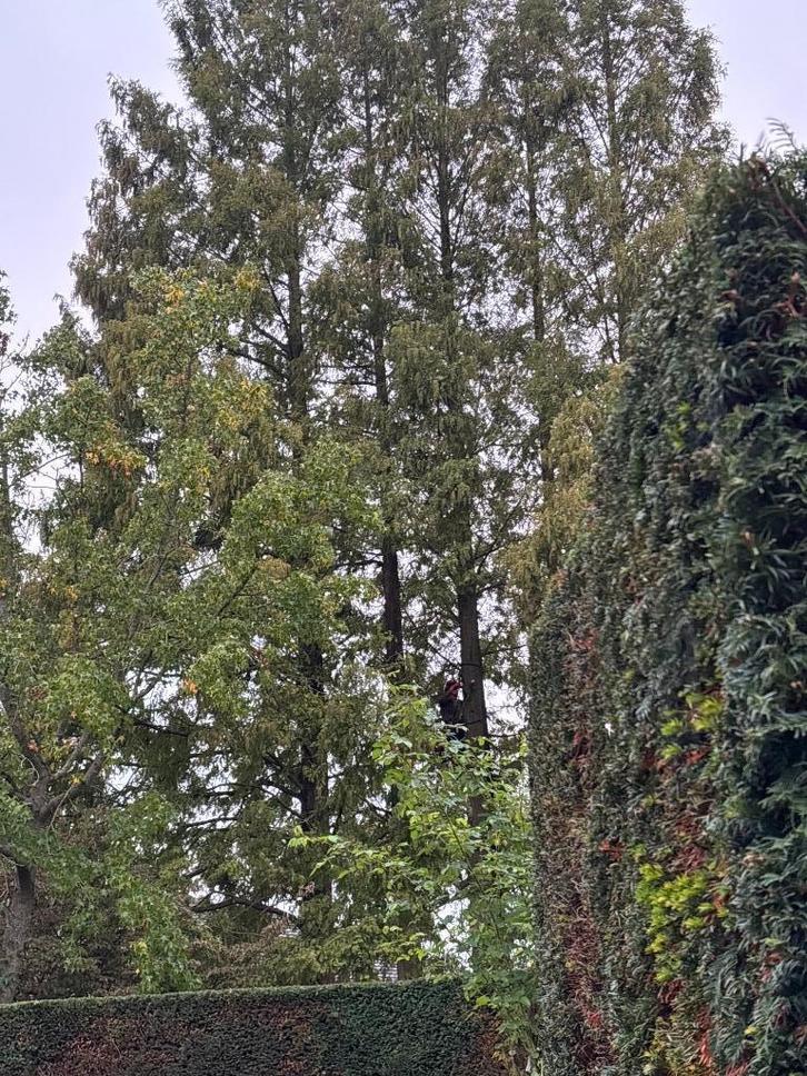 GRATIS OFFERTE, Tuin en Terras, Overige Tuin en Terras, Nieuw, Ophalen