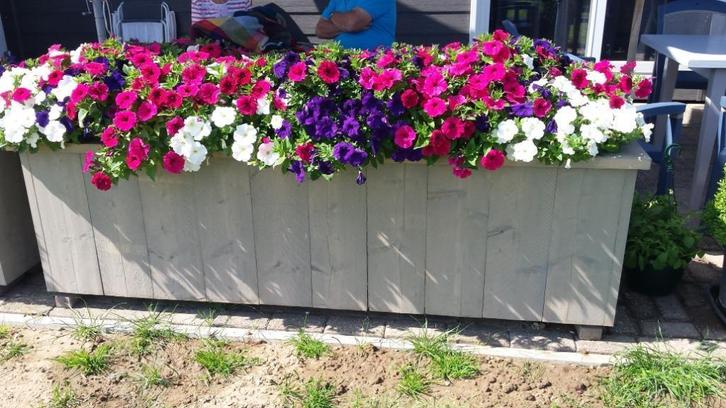 bloembak, Tuin en Terras, Bloembakken en Plantenbakken, Nieuw, Overige materialen, Binnen, Balkon, Tuin, 60 cm of meer, 60 tot 100 cm