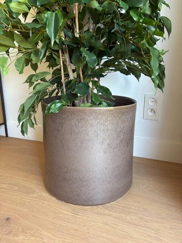 Chique stenen bloempot 40cm diameter, bruin - Cocoon design beschikbaar voor biedingen