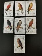 Pologne 1975 - oiseaux - rapaces, fauçons, Enlèvement ou Envoi, Pologne, Affranchi