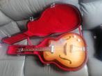 Eko 100 holow body, Ophalen, Gebruikt
