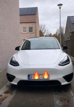 Tesla Model Y Performance 540 Pk, Wit, Elektrisch, Particulier, Model Y