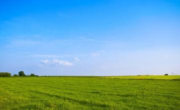 Weide te huur in Drongen vanaf 2026 beschikbaar voor biedingen