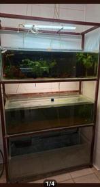 Étagère pour aquarium avec 3 aquariums, Animaux & Accessoires, Enlèvement, Comme neuf, Aquarium vide