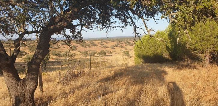 Z-Portugal uniek landgoed aan rivier met boerderijtje 36 ha, Immo, Étranger, Portugal, Maison d'habitation, Campagne, Ventes sans courtier