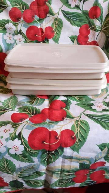 2 boites tupperware vintage 23x13x4cm beschikbaar voor biedingen