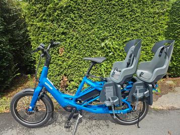 Nagelnieuwe longtail elektrische fiets te koop beschikbaar voor biedingen