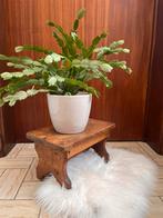 Plantenkrukje, Huis en Inrichting, Woonaccessoires | Zuilen en Pilaren, Ophalen, Zo goed als nieuw