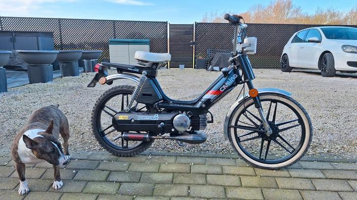 Honda CAMINO CLASSE B PA50D, Vélos & Vélomoteurs, Pièces de cyclomoteur | Oldtimers & Ancêtres, Bloc, Enlèvement