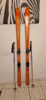 DYNASTAR parabolische ski 178 cm + SCOTT-stokken 115 cm, Ski, Ophalen, Stokken