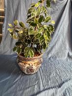 Chinese bloempot, Antiek en Kunst, Ophalen