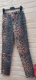 Broek maat 36 sora elastiek in achterzijde, Kleding | Dames, Broeken en Pantalons, Overige kleuren, Sora, Ophalen of Verzenden