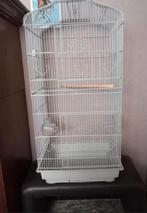 Vogelkooi, Ophalen, Zo goed als nieuw, Vogelkooi