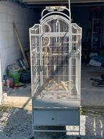 Grande cage perroquet, Dieren en Toebehoren, Vogels | Hokken en Kooien, Ophalen, Zo goed als nieuw