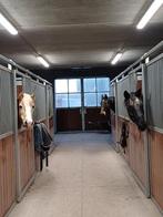 Klein paardenpension regio Viane Galmaarden Deux-Acren