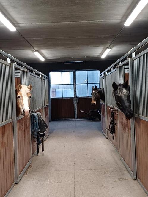 Klein paardenpension regio Viane Galmaarden Deux-Acren, Dieren en Toebehoren, Stalling en Weidegang