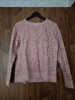 Trui maat XS, Vêtements | Femmes, Pulls & Gilets, Neuf, Lola & Liza, Rose, Enlèvement