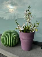 Keramiek cactus met kunstbloemen in bloempot, Ophalen of Verzenden