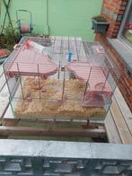 Hamster kooi als nieuw weinig gebruikt, Dieren en Toebehoren, Ophalen, Kooi, Hamster