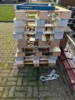 GRATIS OP TE HALEN, Dieren en Toebehoren, Paarden