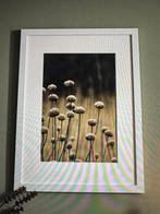 Kader met glas 60 x 80 cm, Ophalen