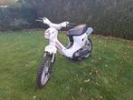 Honda wallaroo project, Ophalen, Gebruikt, Honda